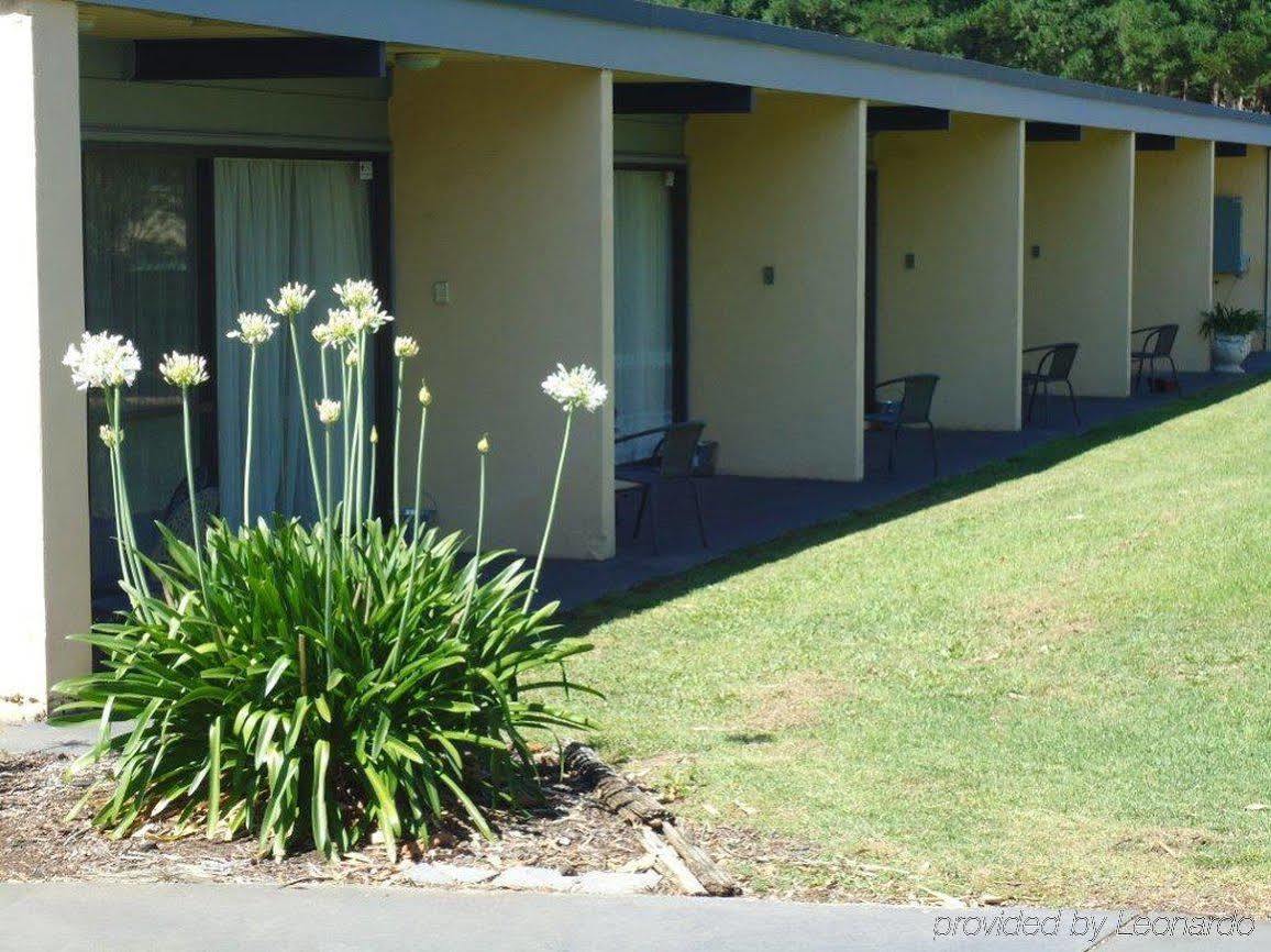 William Macintosh Motor Lodge Naracoorte Exteriör bild